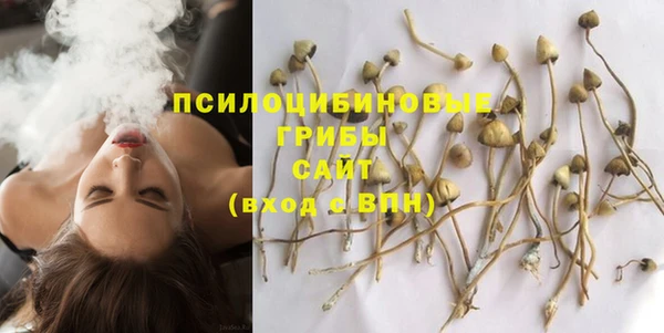 прущие грибы Балабаново