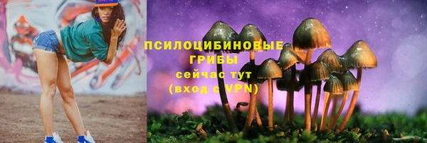прущие грибы Балабаново