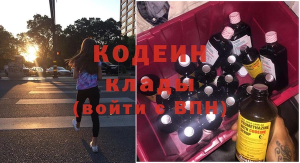 прущие грибы Балабаново