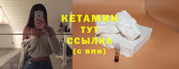 прущие грибы Балабаново