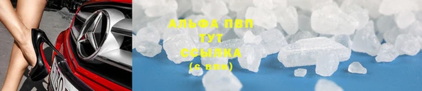 тгк Балахна