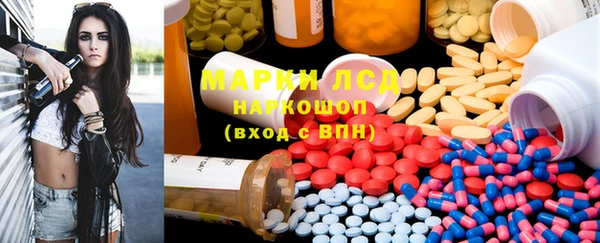 прущие грибы Балабаново