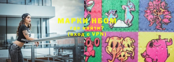прущие грибы Балабаново