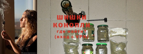 прущие грибы Балабаново
