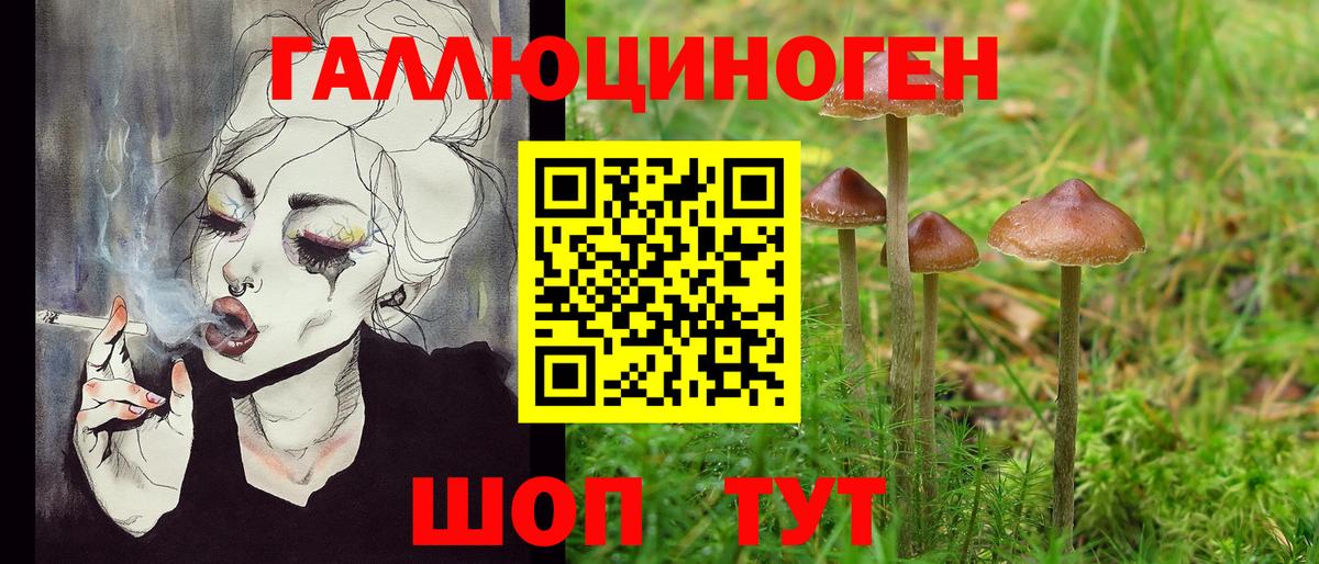 Псилоцибиновые грибы прущие грибы  Галлюциногенные грибы ЛСД  Вход с VPN  Унеча 